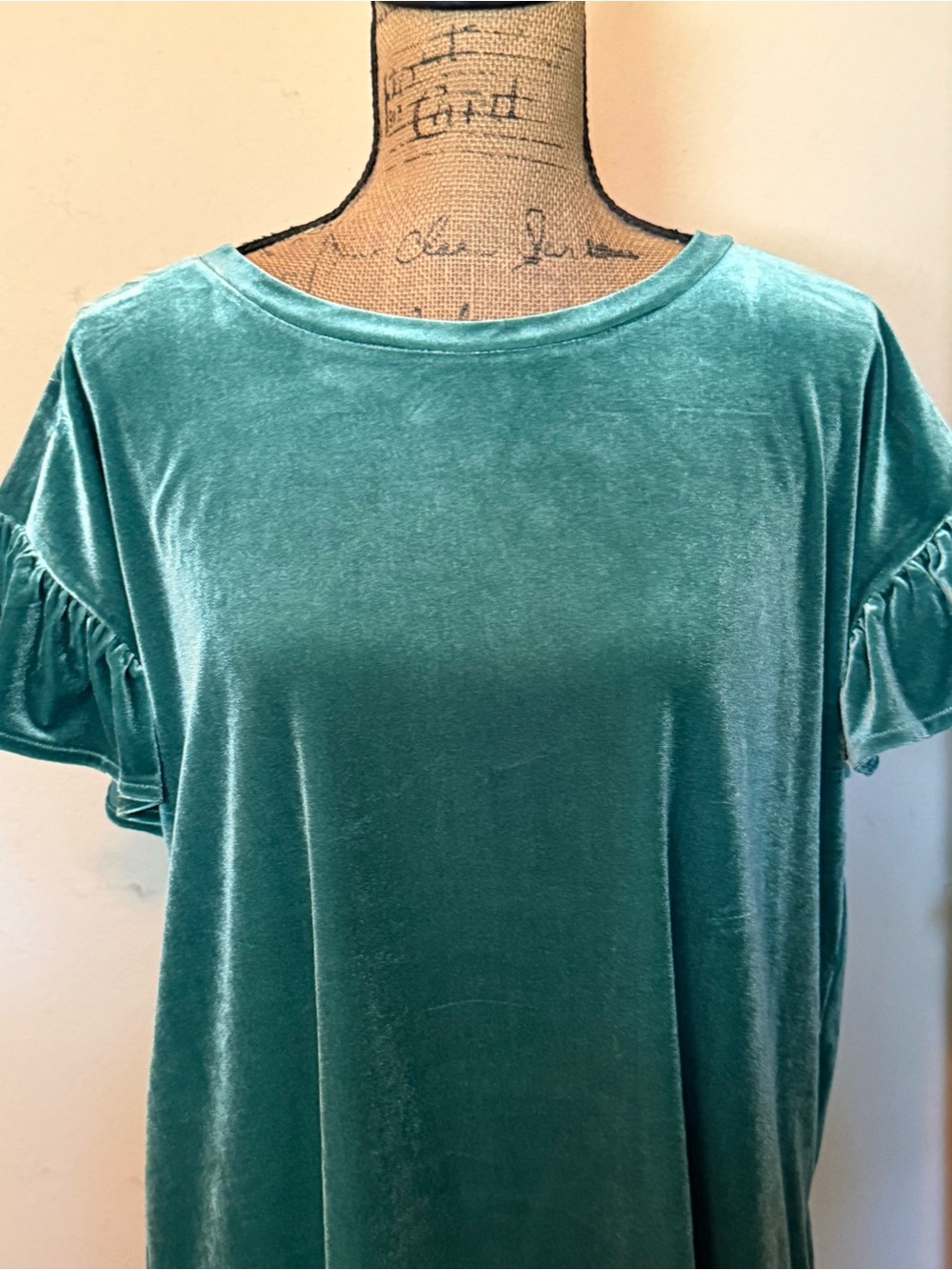 Women’s Velvet Ruffle Sleeve Top